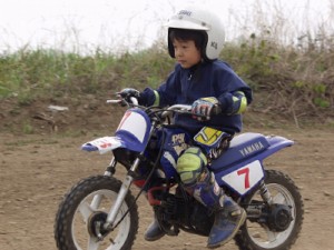 kage20040503-01.jpg (23010 oCg)
