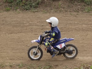 kage20040503-11.jpg (24310 oCg)