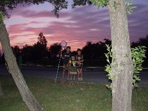 kage20040719-19.jpg (26041 oCg)