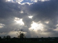 20120917_2.jpg (8926 oCg)
